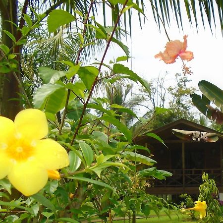 J&H Garden Cabinas Bocas Town Bagian luar foto
