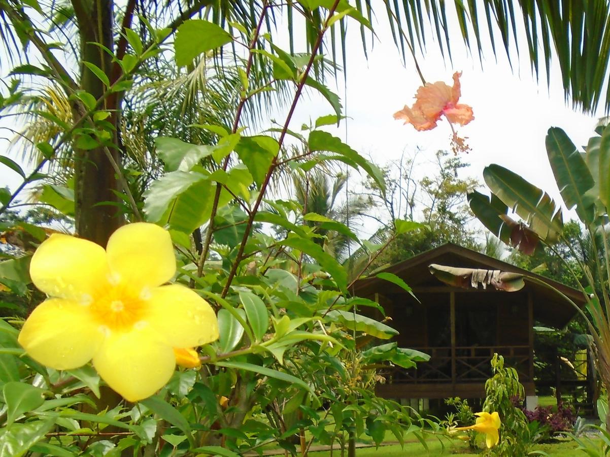 J&H Garden Cabinas Bocas Town Bagian luar foto
